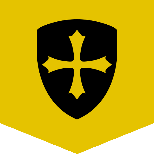 Team Flag